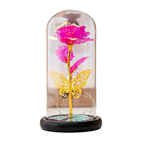 Xchon Forever Flower Goldfolie Rose Blumen in Glaskuppel LED-Licht Valentinstag von Xchon