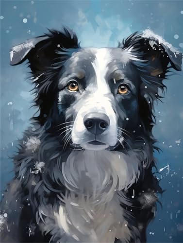 Malen Nach Zahlen Erwachsene Border Collie,DIY Malen Nach Zahlen Hund Ölgemälde Leinwand Kit für Anfänger,Mit 3-Pinseln und Acrylfarbe,für Home Wanddeko Wohnzimmer,Geschenke Mädchen 30x50cm LY-15201 von Xeoyenle