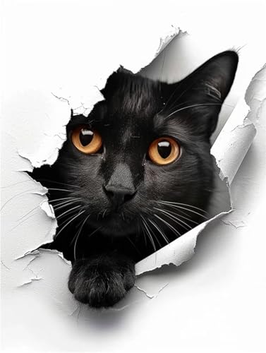 Malen Nach Zahlen Erwachsene Schwarze Katze,DIY Malen Nach Zahlen Tier Ölgemälde Leinwand Kit für Anfänger,Mit 3-Pinseln und Acrylfarbe,für Home Wanddeko Wohnzimmer,Geschenke Mädchen 20x30cm LY-10428 von Xeoyenle