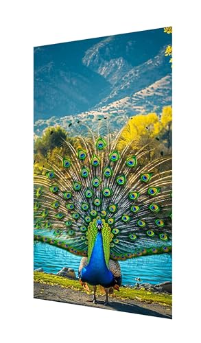 Diamond Painting Erwachsene Groß XXL 160x80cm, Diamant Painting Bilder Pfau Diamant Paintings Kinder Feder, DIY Runder Vollbohrer Diamanten Malerei Stickerei Kreuzstich Bastelset, Zimmer Deko X2-1170 Diamond Painting Erwachsene Groß XXL 160x80cm, Diamant Painting Bilder Pfau Diamant Paintings Kinder Feder, DIY Runder Vollbohrer Diamanten Malerei Stickerei Kreuzstich Bastelset, Zimmer Deko X2-1170 von Xhgtehng
