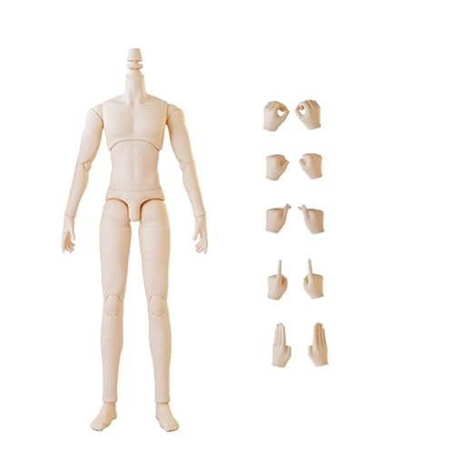 XiDonDon YMY23/YMY25 BJD Puppenkörper für SD-Puppen mit männlichen Gelenken Ob22,ob23,ob24 GSC Ersatzkörper mit Puppenzubehör (25 White1) von XiDonDon