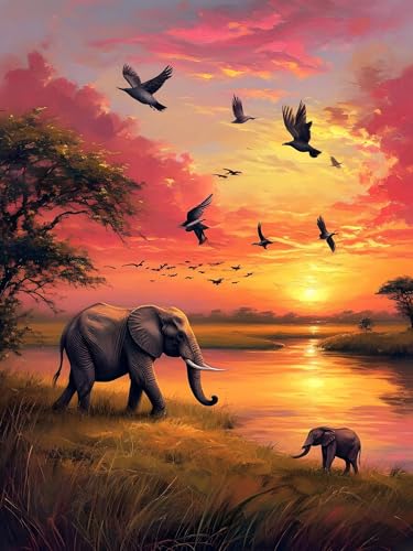 Malen Nach Zahlen Erwachsene Elefant Tier, Bastelset Erwachsene Frauen, DIY Paint by Numbers Adult Mit 3 Pinseln und Acrylfarbe Leinwand Kit für Home Décor und Geschenk, Ohne Rahmen 20 x 30 cm H-204 von Xiaonu