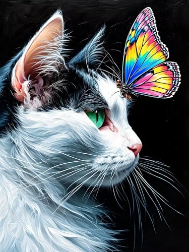 Malen Nach Zahlen Erwachsene Katze Schmetterling, Bastelset Erwachsene Frauen, DIY Paint by Numbers Adult Mit 3 Pinseln und Acrylfarbe Leinwand Kit Home Décor Geschenk, Ohne Rahmen 20 x 30 cm H-370 von Xiaonu