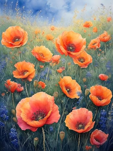 Malen Nach Zahlen Erwachsene Mohn Blume, Bastelset Erwachsene Frauen, DIY Paint by Numbers Adult Mit 3 Pinseln und Acrylfarbe Leinwand Kit für Home Décor und Geschenk, Ohne Rahmen 20 x 30 cm H-147 von Xiaonu