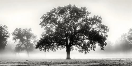 Malen Nach Zahlen schwarz und weiß Baum Malen Nach Zahlen Kinder,Malen-Nach-Zahlen ab 9 Jahre Mädchen Gifte,DIY Ölgemälde Set Pinseln Acrylpigment,Home Wanddeko Wohnzimme 60x120cm(Mit Rahmen) E-1747 von Xieazgsn