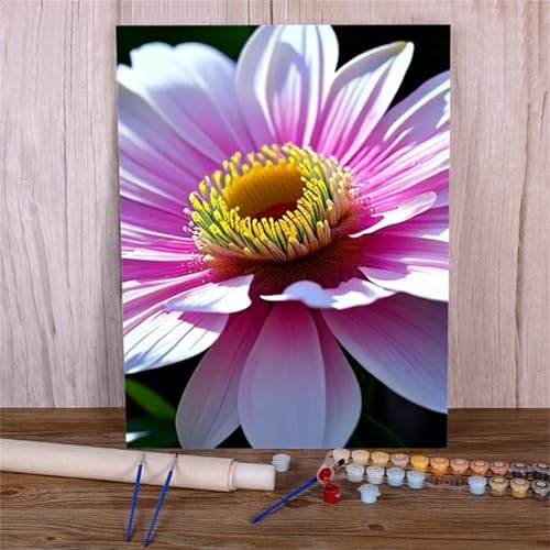 Malen Nach Zahlen Erwachsene Set Blume Chrysantheme, DIY Handgemalt Ölgemälde Leinwand Kits, für Anfänger und Kinder, mit Pinseln und Farben, für Hause Dekoration 55x70cm (DIY-Rahmen) von Xinyuer