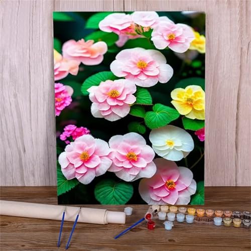 Malen Nach Zahlen Erwachsene Set Blume Rosa, DIY Handgemalt Ölgemälde Leinwand Kits, für Anfänger und Kinder, mit Pinseln und Farben, für Hause Dekoration 30x40cm (DIY-Rahmen) von Xinyuer