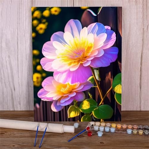 Malen Nach Zahlen Erwachsene Set Blumen Sonnenschein, DIY Handgemalt Ölgemälde Leinwand Kits, für Anfänger und Kinder, mit Pinseln und Farben, für Hause Dekoration 30x40cm (DIY-Rahmen) von Xinyuer