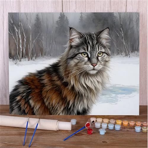 Malen Nach Zahlen Erwachsene Set Tiere Katze Schnee, DIY Handgemalt Ölgemälde Leinwand Kits, für Anfänger und Kinder, mit Pinseln und Farben, für Hause Dekoration 45x60cm (DIY-Rahmen) von Xinyuer