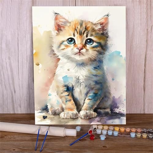 Xinyuer Malen Nach Zahlen Erwachsene Aquarell Katze Tier, Malen Nach Zahlen Anfänger Set, mit 3-Pinseln und Acrylfarbe für Home Decor 40x50cm (DIY-Rahmen) von Xinyuer