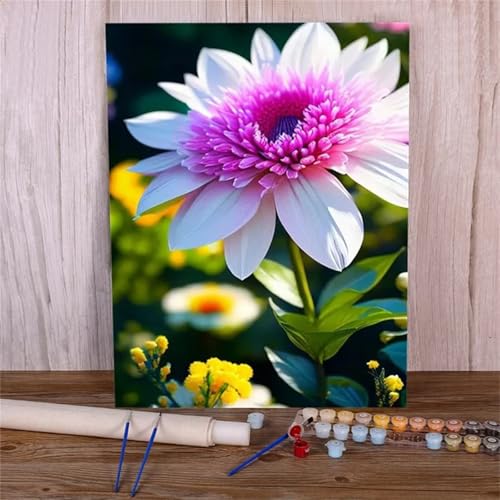 Xinyuer Malen Nach Zahlen Erwachsene Blume Gänseblümchen, Malen Nach Zahlen Anfänger Set, mit 3-Pinseln und Acrylfarbe für Home Decor 40x50cm (DIY-Rahmen) von Xinyuer