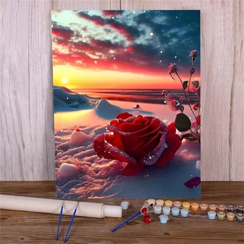 Xinyuer Malen Nach Zahlen Erwachsene Blumen Schnee Sonnenuntergang, Malen Nach Zahlen Anfänger Set, mit 3-Pinseln und Acrylfarbe für Home Decor 45x60cm (DIY-Rahmen) von Xinyuer