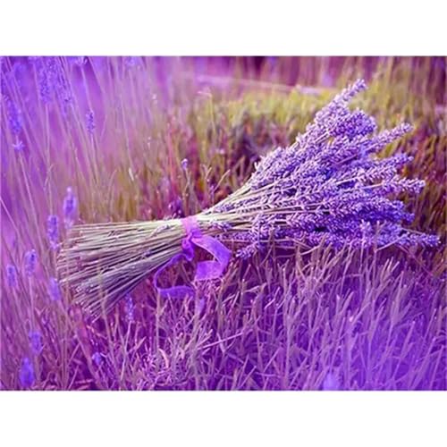 Xinyuer Malen Nach Zahlen Erwachsene Lavendel, Malen Nach Zahlen Anfänger Set, mit 3-Pinseln und Acrylfarbe für Home Decor 40x50cm (DIY-Rahmen) von Xinyuer