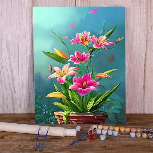 Xinyuer Malen Nach Zahlen Erwachsene Lilie, Malen Nach Zahlen Anfänger Set, mit 3-Pinseln und Acrylfarbe für Home Decor 50x65cm (DIY-Rahmen) von Xinyuer