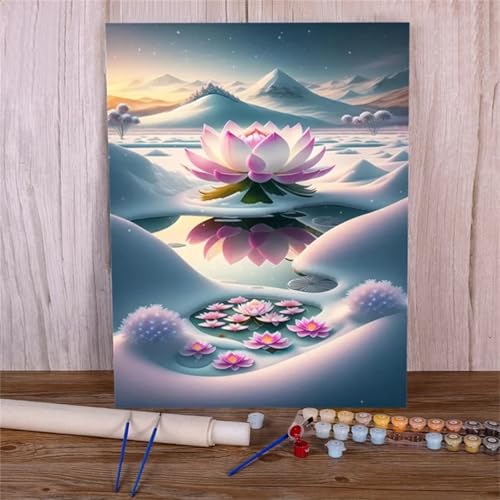 Xinyuer Malen Nach Zahlen Erwachsene Lotusblume Schnee, Malen Nach Zahlen Anfänger Set, mit 3-Pinseln und Acrylfarbe für Home Decor 30x40cm (DIY-Rahmen) von Xinyuer