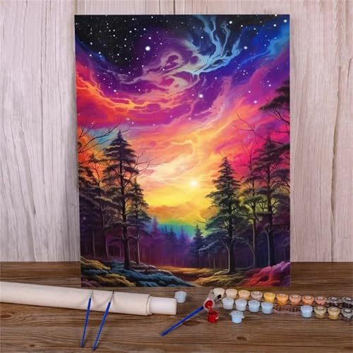 Xinyuer Malen Nach Zahlen Erwachsene Sternenhimmel Baum, Malen Nach Zahlen Anfänger Set, mit 3-Pinseln und Acrylfarbe für Home Decor 30x40cm (DIY-Rahmen) von Xinyuer