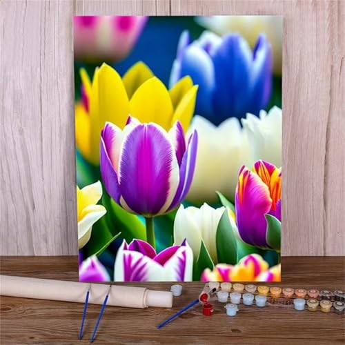 Xinyuer Malen Nach Zahlen Erwachsene Tulpe Lila, Malen Nach Zahlen Anfänger Set, mit 3-Pinseln und Acrylfarbe für Home Decor 40x50cm (DIY-Rahmen) von Xinyuer