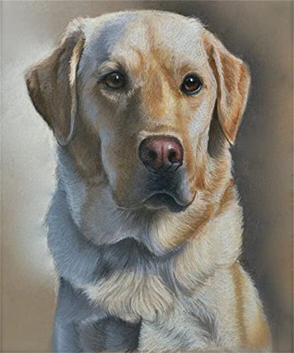 Diamond Painting Bilder Labrador, DIY Cross Stitch Stickerei Malerei Kits, Diamant Malerei Malen Nach Zahlen Full Drill Kristall Set, Stickerei Kunsthandwerk House Wall Dekoration(50x70cm) von Xiooger