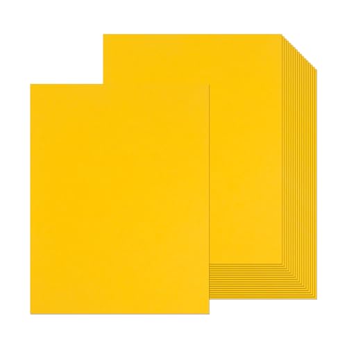24 Blatt Goldkartonpapier, 21,6 x 27,9 cm, 250 g/m² dickes Papier, blanko, schwere Karten, Druckerpapier für Einladungen, Postkarten, Dankeskarten, DIY-Karten (Gold) von Xjoviative