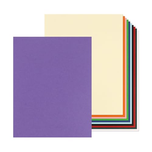 24 Blatt farbiges Kartonpapier, 21,6 x 27,9 cm, 250 g/m²/41,7 kg dickes Papier, blanko, schwere Karten, Druckerpapier für Einladungen, Postkarten, Dankeskarten, DIY-Karten (bunt) von Xjoviative