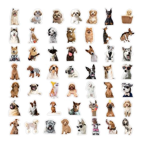 50 Stück Hunde Sticker Set, Dog Aufkleber für Kinder Cute Dog Stickers Set Vinyl Wasserdicht Aesthetic Aufkleber, für Auto Laptop Skateboard Fahrrad Fahrrad Computer, Geeignet für Erwachsene Kinder von Xuigort