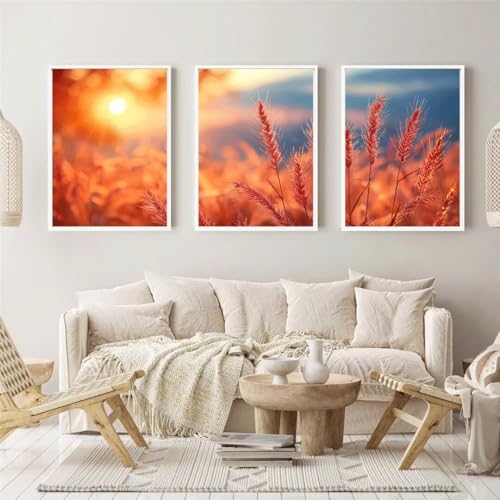 Diamond Painting 3 Teilig Kit Groß xxl Erwachsene 5D Full Drill Sonnenuntergangswiese Diamant-Malset mit Zubehör Anfänger Kinder DIY art Painting Leinwand Bilder Wanddekoration Zu Hause 20x30cm 6536 von Xyyhdm