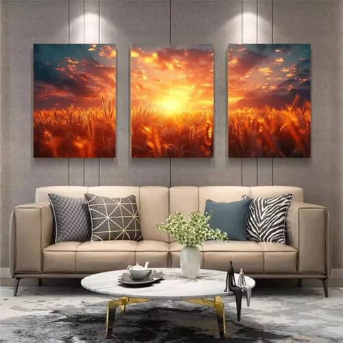 Diamond Painting 3 Teilig Kit Groß xxl Erwachsene 5D Full Drill Sonnenuntergangswiese Diamant-Malset mit Zubehör Anfänger Kinder DIY art Painting Leinwand Bilder Wanddekoration Zu Hause 20x30cm 6542 von Xyyhdm