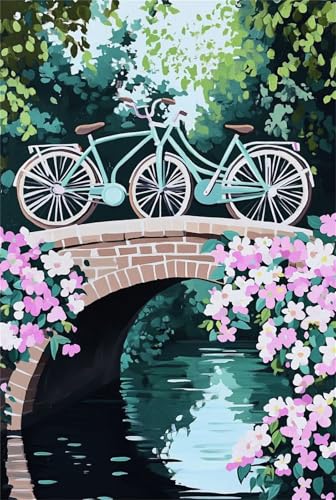 Malen Nach Zahlen Erwachsene Fahrradillustration Paint by Numbers DIY Kit Anfänger Acrylfarben Handgemalt Ölgemälde Leinwand Zuhause Wanddekoration Home Deko Weihnachten 45x60cm with frame 6082 von Xyyhdm