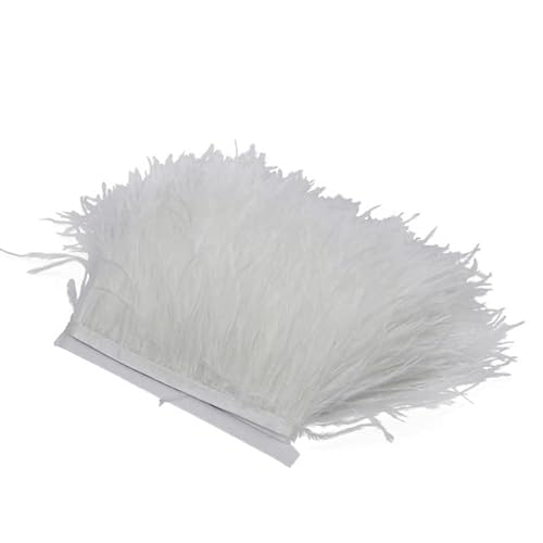 YAHUO 10M 8-10CM Ostrich Feathers Trim 1 Meter Ribbon Selvage for DIY Plumes Wedding Dress Decoration Crafts Accessories von YAHUO