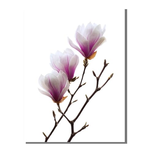 5D Diamond Painting Erwachsene, Diamant Malerei Kinder Anfänger, DIY Pflanze Blume Diamant Painting Bilder Erwachsene Bastelset Geeignet Als Geschenk, Zur Entspannung und Als Wanddeko 40x50cm SYLF771 5D Diamond Painting Erwachsene, Diamant Malerei Kinder Anfänger, DIY Pflanze Blume Diamant Painting Bilder Erwachsene Bastelset Geeignet Als Geschenk, Zur Entspannung und Als Wanddeko 40x50cm SYLF771 von YALNSENN
