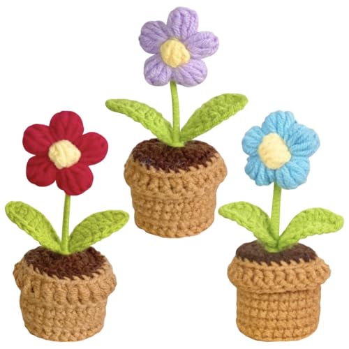 YANGSHINE 3 Stück fertige Häkelblumen, handgefertigt, Wollgarn, künstliche Blume, gestrickt, Eclair Blume für Hone, Büro, Auto, Armaturenbrett, Dekoration, Puff von YANGSHINE