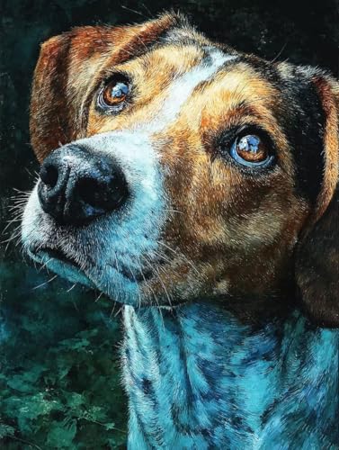 Hund Diamond Painting 25x35cm, Diamant Painting Bilder Tier Crystal Art 5D DIY Eckige Steine Diamant Malerei Cross Stitch Stickerei Basteln Erwachsene für Deko Wohnzimmer, Geschenke -yym2507FV843 Hund Diamond Painting 25x35cm, Diamant Painting Bilder Tier Crystal Art 5D DIY Eckige Steine Diamant Malerei Cross Stitch Stickerei Basteln Erwachsene für Deko Wohnzimmer, Geschenke -yym2507FV843 von YANGYUMBOU