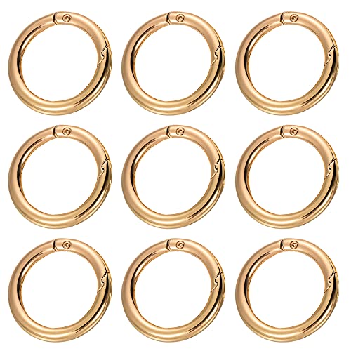 10 Stück Metallfeder Snap Clip O Ring Schlüsselringe Runde Feder Schlüsselanhänger Schnalle 25 mm Gold Runde Karabiner DIY Zubehör für Taschen Geldbörsen Schlüsselanhänger Basteln von YANWANDEFA