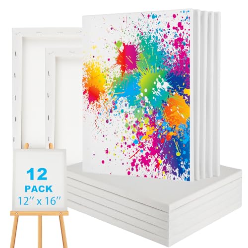 YAYODS 12 Stück gespannte Leinwände zum Malen, 27,9 x 35,6 cm, Baumwoll-Leinwand, leere Leinwand, Künstler-Leinwand, Kunstzubehör zum Malen von Acryl und Öl von YAYODS