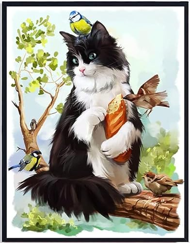 YEAUWILY Katze Diamond Painting Set für Kinder Vogel 5D Bilder Diamant Malerei Kits für Erwachsene DIY Runder Steine Diamant Painting für Zuhause Dekor Weihnachten 30x40cm von YEAUWILY