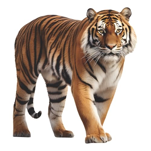 Abnehmbarer Wild Tiger Wandsticker, Großer 3D lebensechter Tiger Tier Wandaufkleber zum Abziehen und Aufkleben für Wohnzimmer Kinderzimmer Klassenzimmer und Babyzimmer Dekor von YEELIKE