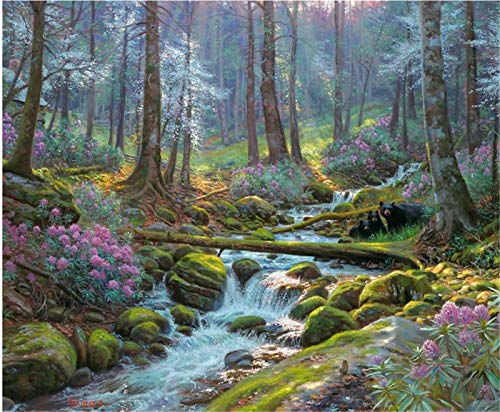 YEESAM ART DIY Ölgemälde Malen nach Zahlen Erwachsene Kinder, Blumen Bach Grün Wald Wunderland Zahlenmalerei ab 5 Öl Wandkunst (Wald, mit Rahmen) von YEESAM ART