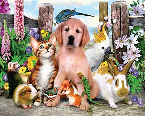 YEESAM ART DIY Ölgemälde Malen nach Zahlen Erwachsene Kinder, Katze Hund Eichhörnchen Hase Vogel Tiere Blumen Zahlenmalerei ab 5 Öl Wandkunst (Tiere, ohne Rahmen) von YEESAM ART