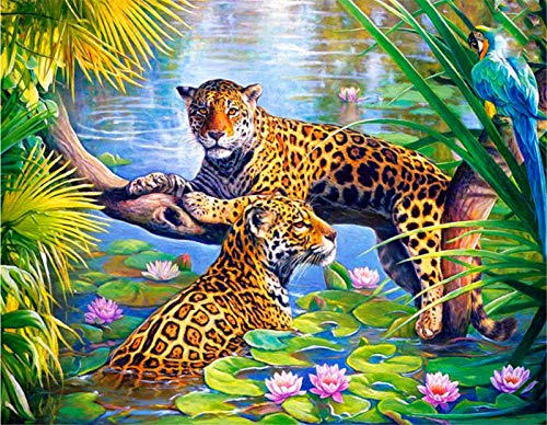 YEESAM ART DIY Ölgemälde Malen nach Zahlen Erwachsene Kinder, Zwei Leoparden im Lotus Teich Zahlenmalerei ab 5 Öl Wandkunst (Leoparden, ohne Rahmen) von YEESAM ART