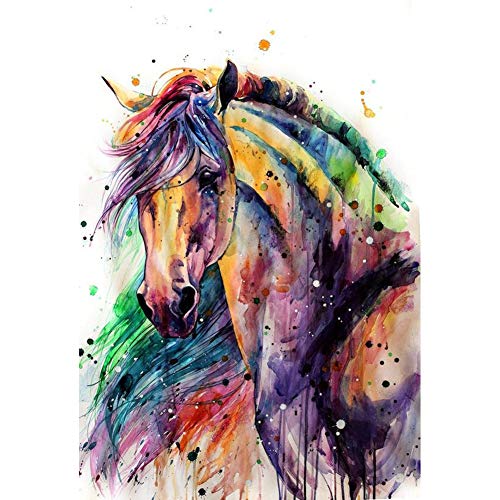 YEESAM ART Diamant Malerei Kits Vollbohrer, Bunt Pferd Abstrakt 30x40 cm DIY 5D Diamond Painting Strass Stickerei für Zuhause Wand Und Wohnzimmer Dekor (Bunt) von YEESAM ART