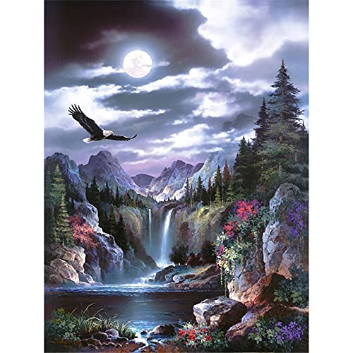 YEESAM ART Diamant Malerei Kits Vollbohrer, Wasserfall Wunderland Adler 30x40cm DIY 5D Diamond Painting Strass Stickerei für Zuhause Wand Und Wohnzimmer Dekor (Wunderland) von YEESAM ART