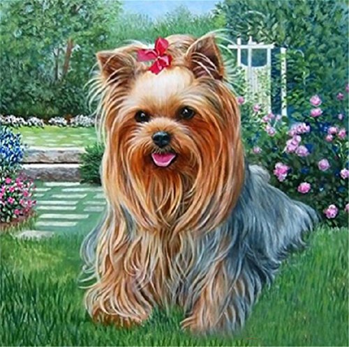 YEESAM ART Diamond Painting Kits Teilbohrer Hund Yorkshire Terrier Blumen Garten 25x25cm DIY 5D Diamant Kunst Mosaik Handwerk für Erwachsene Kinder Anfänger Kristalle Kreuzstich Weihnachten (Hund) von YEESAM ART