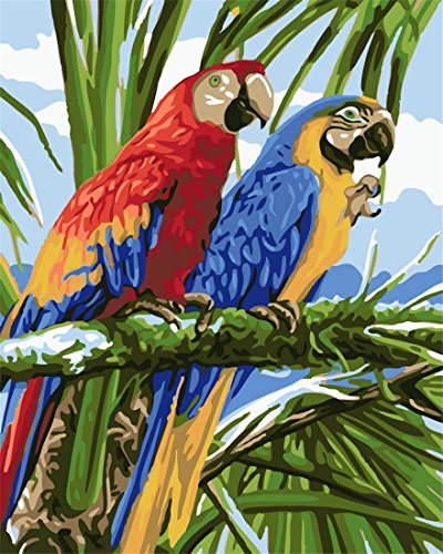 YEESAM ART Neuerscheinungen Malen nach Zahlen für Erwachsene Kinder - Zwei Papagei Vogel Bird Parrot 16 * 20 Zoll Leinen Segeltuch - DIY ölgemälde ölfarben Weihnachten Geschenke von YEESAM ART