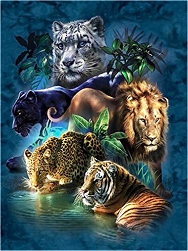YEESAM ART New Malen nach Zahlen für Erwachsene Kinder – Wald Tiere Tiger Leopard Löwe 40,6 x 50,8 cm Leinengewebe – DIY Digital Malen nach Zahlen Kits auf Leinwand, with Frame von YEESAM ART