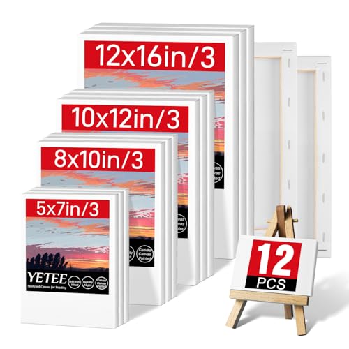 12 Stück gespannte Leinwand zum Malen, Mehrfachverpackung von 30,5 x 40,6 cm, 25,4 x 30,5 cm, 20,3 x 25,4 cm, 12 x 17,8 cm, Baumwollgrundierung Leinwand für Ölgemälde, Malleinwand von YETEE