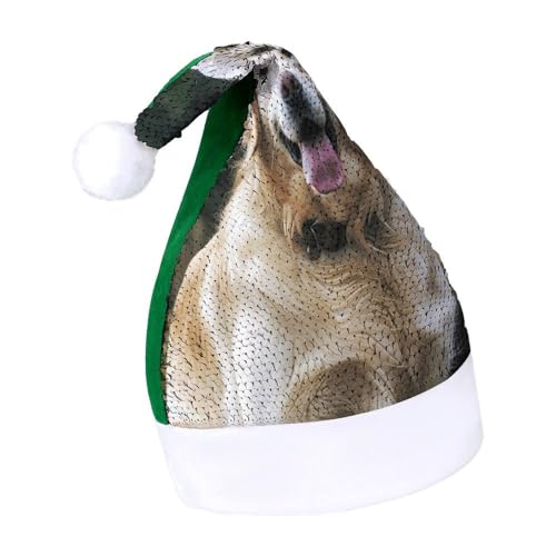 YHEGBFD Weihnachtsmütze, lustiger Golden Retriever-Druck, Weihnachtsmütze, Pailletten-Weihnachtsmannmütze, Neujahrsgruß, Weihnachtsmütze von YHEGBFD