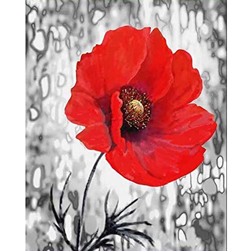 kreuzstich set Vorgedruckt erwachsene anfanger rote Blumen Stickpackungen Kreuzstich DIY Starter Stickbild Handwerk 11CT Geschenk Heimdekoration(16×20inch） von Bluehurric