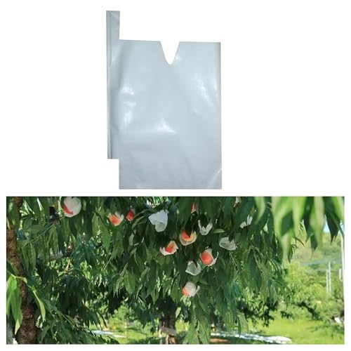 YINLUCK 100/200 Stück Pfirsich/Birne/Orange Papiertüte, Schutztasche, Obstschutz-Wachstumstasche, wasserdichte Tasche, Sämlingstasche(Style 1,15x18CM(100PCS)) von YINLUCK