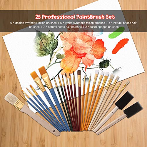 YIWEOG 25stk Pinsel Set PaintBrushes Starter Kit enthält Taklon/Borsten/Pferdehaarbürsten und Schwammbürsten für Acrylöl Aquarell Gouachen Malen Künstlerbedarf von YIWEOG