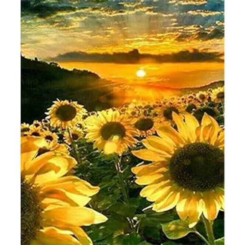 YIYUE 5D Diamond Painting Kits Bilder für Erwachsene, Blumen DIY Diamant Malerei Painting Bilder Set, Diamond Art Full Runder Malen Nach Zahlen Erwachsene Set (35x45cm), Nr. 14 von YIYUE